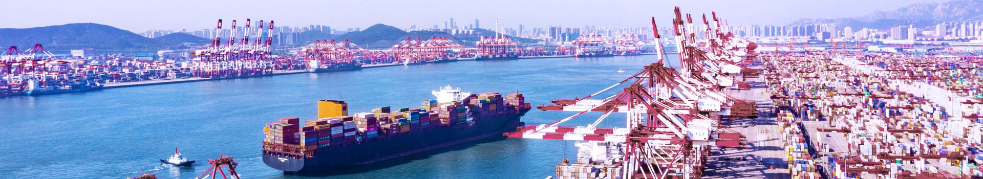 吊鉗,起重鉗價(jià)格,起重吊鉗型號(hào),起重鉗廠家-辰力集團(tuán)